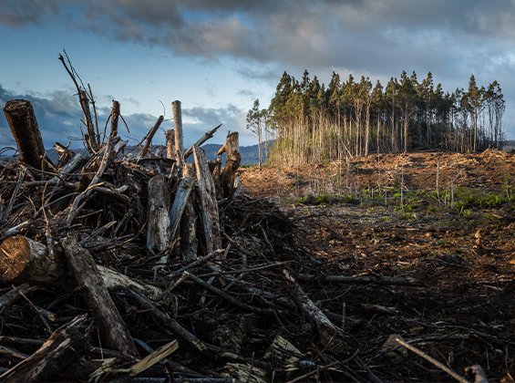 Early Warning System